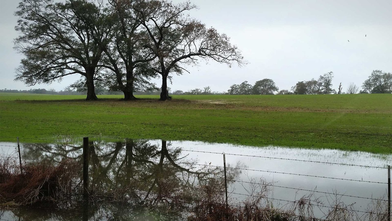 San Diego Flood 2024