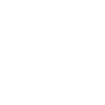 law-dragon-2025